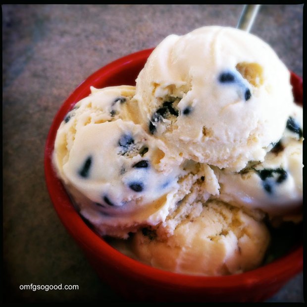 Malted-Vanilla-Bean-Chocolate-Chip-Ice-Cream-3