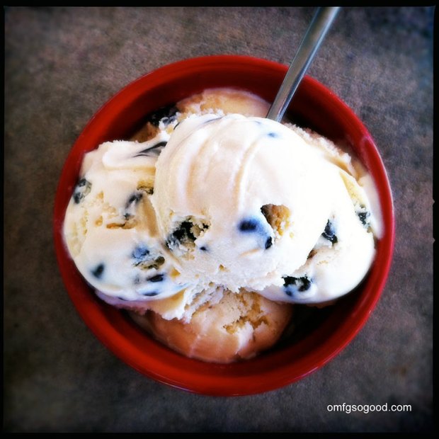 Malted-Vanilla-Bean-Chocolate-Chip-Ice-Cream-4