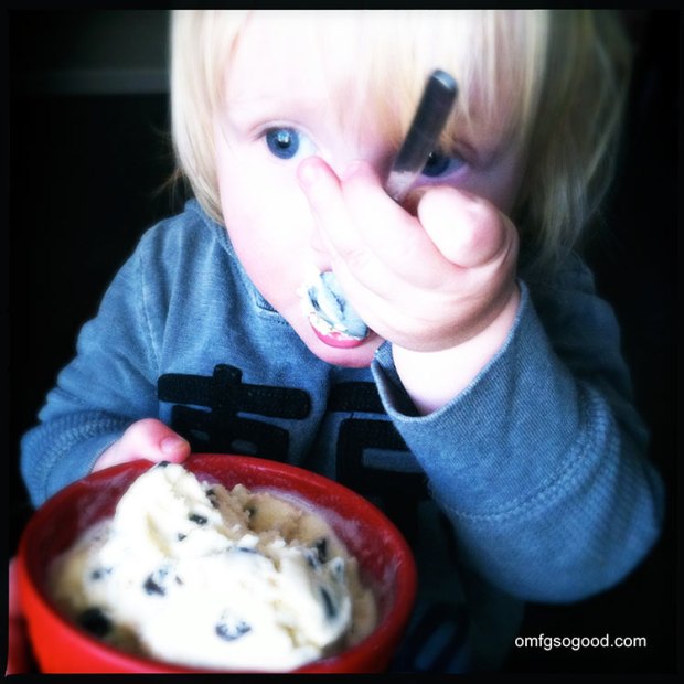 Malted-Vanilla-Bean-Chocolate-Chip-Ice-Cream-5