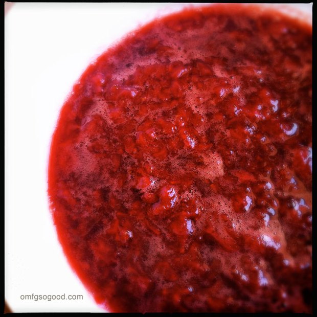 tequila-macerated-strawberries-2