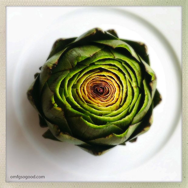 fresh-artichoke