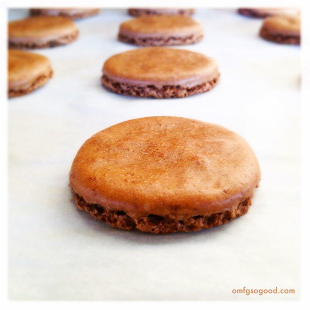 Chocolate-Cinnamon-Macarons-prefilled