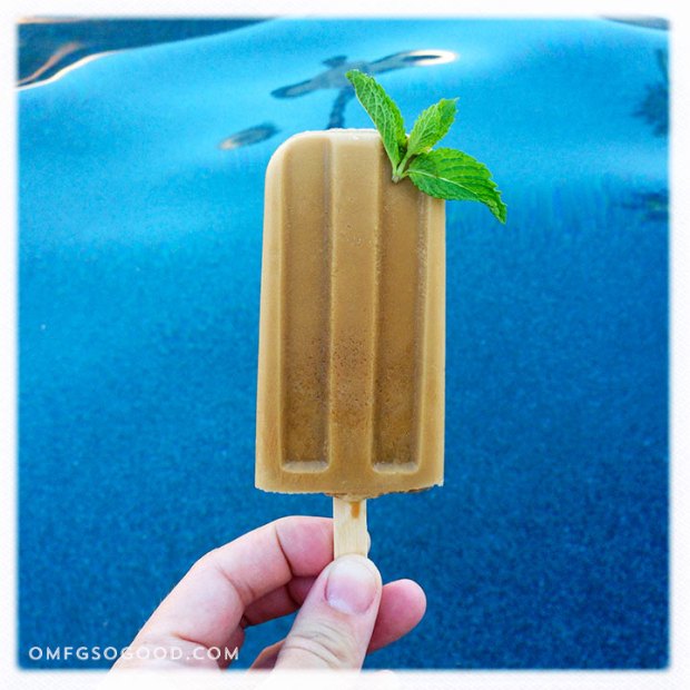 Vietnamese-Coffee-Pops-with-Mint-3